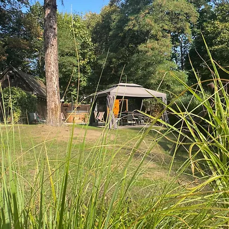 Apartment Lesne Zacisze