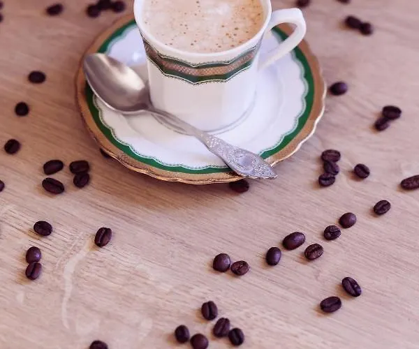 Lesne Zacisze Lägenhet